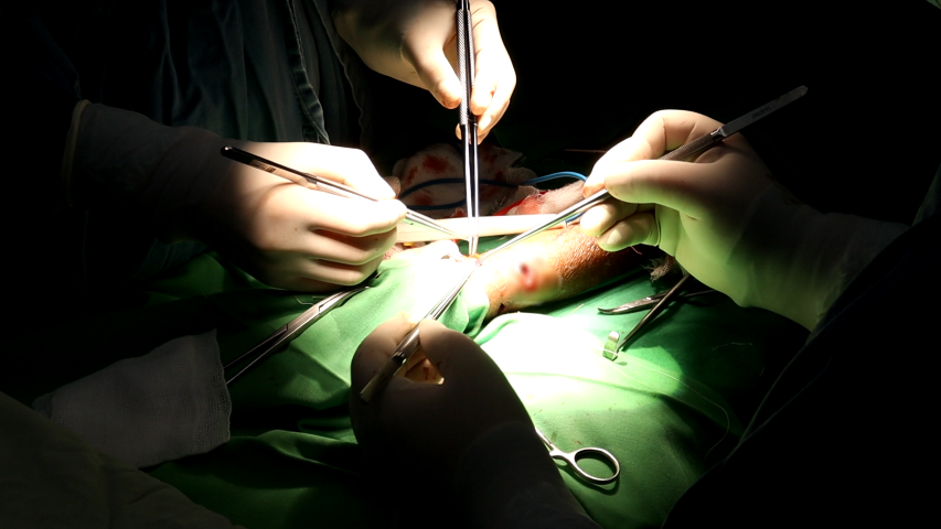 Vascular Surgery Package